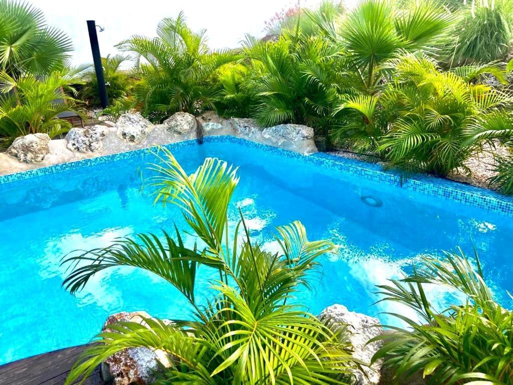 Neue Villa Tropic Paradise Willemstad Luaran gambar